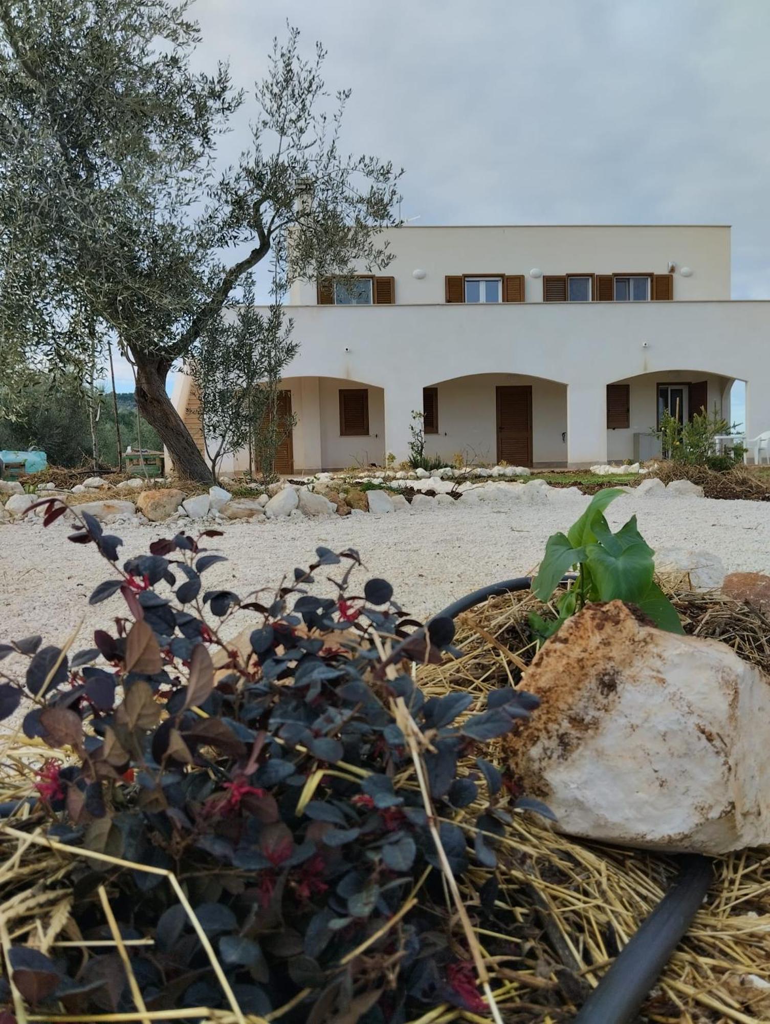 Borgo Rosoli Vieste Exterior photo